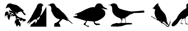 Birds TFB font preview